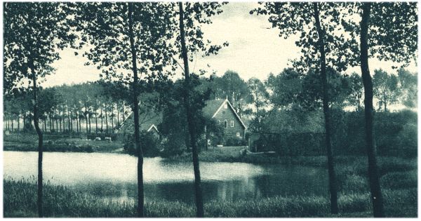 Klik voor de volgende foto
