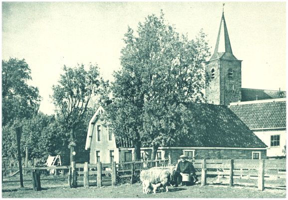 Klik voor de volgende foto