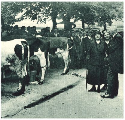 Klik voor de volgende foto