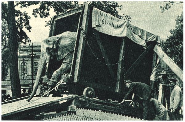 Klik voor de volgende foto