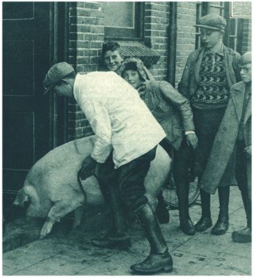 Klik voor de volgende foto