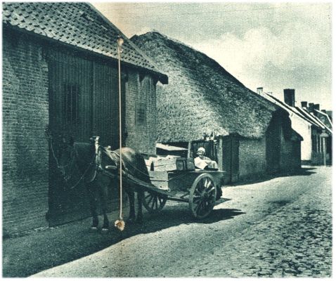 Klik voor de volgende foto
