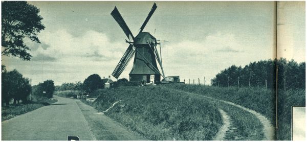 Klik voor de volgende foto