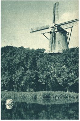 Klik voor de volgende foto