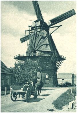 Klik voor de volgende foto
