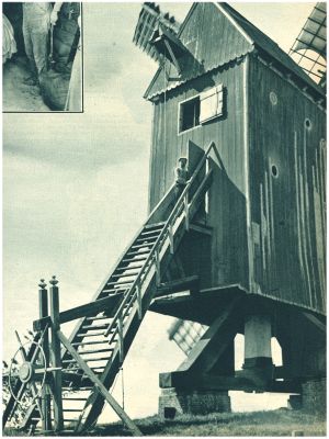 Klik voor de volgende foto