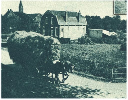 Klik voor de volgende foto