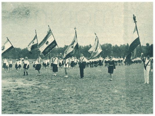 Klik voor de volgende foto