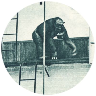 Klik voor de volgende foto