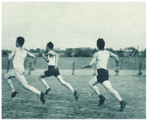 Klik voor de volgende foto