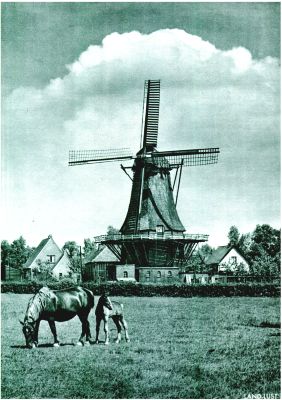 Klik voor de volgende foto