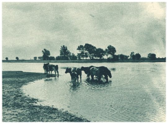 Klik voor de volgende foto