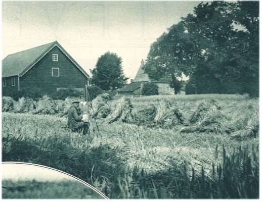 Klik voor de volgende foto