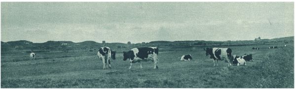 Klik voor de volgende foto