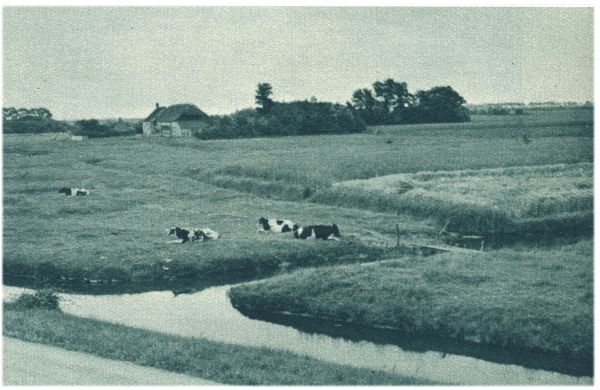 Klik voor de volgende foto