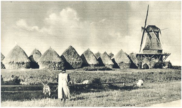 Klik voor de volgende foto