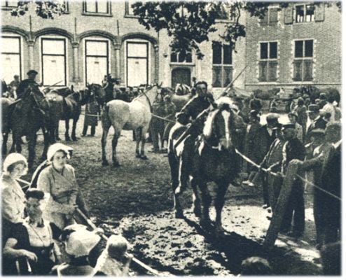 Klik voor de volgende foto