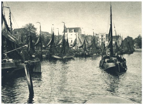 Klik voor de volgende foto