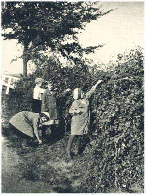 Klik voor de volgende foto