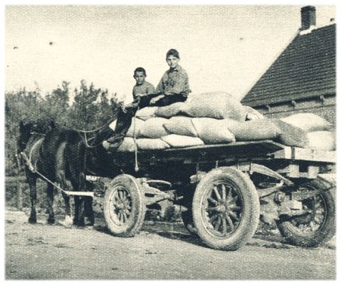 Klik voor de volgende foto