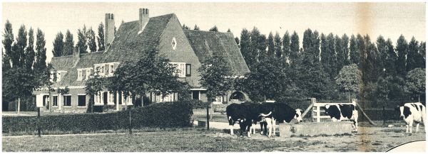 Klik voor de volgende foto