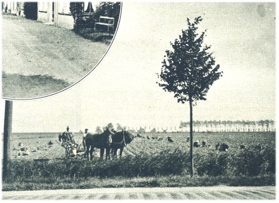 Klik voor de volgende foto