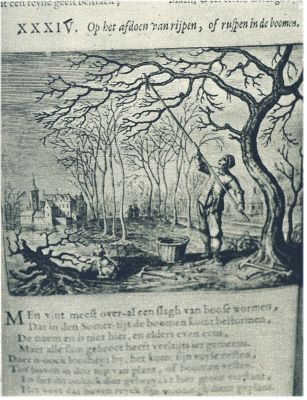 Klik voor de volgende foto