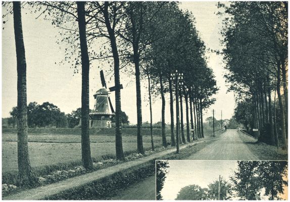 Klik voor de volgende foto