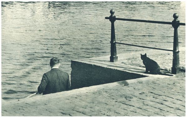 Klik voor de volgende foto