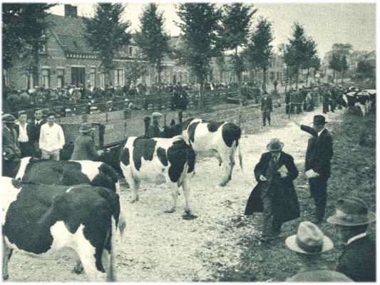 Klik voor de volgende foto