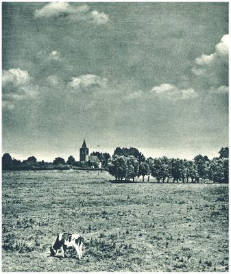 Klik voor de volgende foto