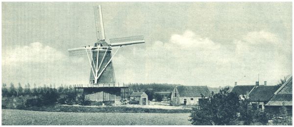Klik voor de volgende foto