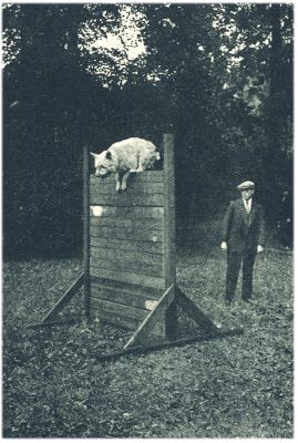 Klik voor de volgende foto