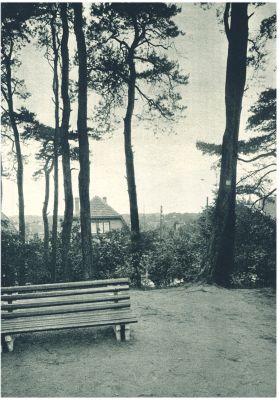 Klik voor de volgende foto