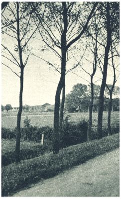 Klik voor de volgende foto