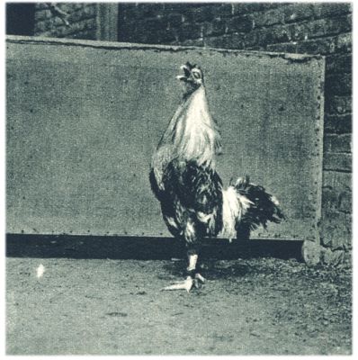 Klik voor de volgende foto