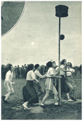 Klik voor de volgende foto