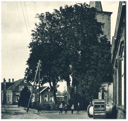 Klik voor de volgende foto