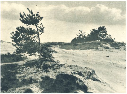 Klik voor de volgende foto