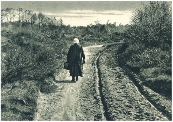 Klik voor de volgende foto
