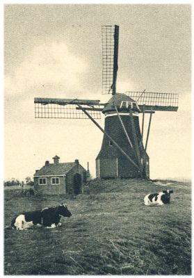 Klik voor de volgende foto