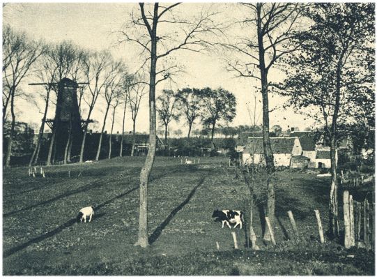 Klik voor de volgende foto