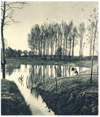Klik voor de volgende foto