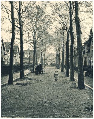 Klik voor de volgende foto