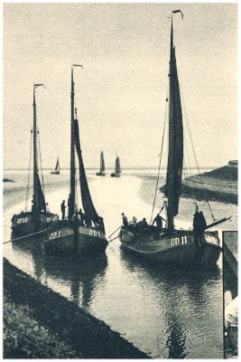 Klik voor de volgende foto