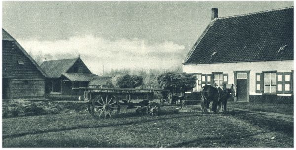 Klik voor de volgende foto