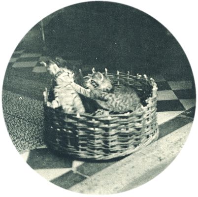 Klik voor de volgende foto