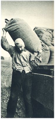 Klik voor de volgende foto