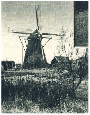 Klik voor de volgende foto