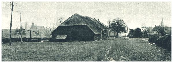 Klik voor de volgende foto